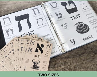 May include: A set of Biblical Hebrew flashcards displayed in a three-ring binder and as loose cards. The pages feature large black Hebrew letters, including Chet and Teit, with corresponding block print, cursive, and Torah script styles, plus illustrations like a snake.