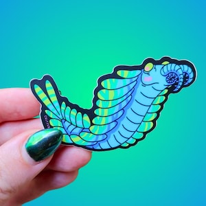 Anomalocaris / Handmade Vinyl Sticker / Abnormal Shrimp Cambrian Dinosaur Paleo Decal