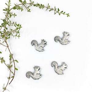 Squirrel Magnet, Fridge Magnets, Refrigerator Magnets, Custom Magnets , Custom Fridge Magnets, Decorative Magnets, Neodymium