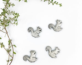 Magnes Wiewiórka – Ręcznie wykonany metalowy element – Do powierzchni stalowych, lodówek, tablic ogłoszeniowych – Dekoracja przyrodnicza – Magnes Kanada