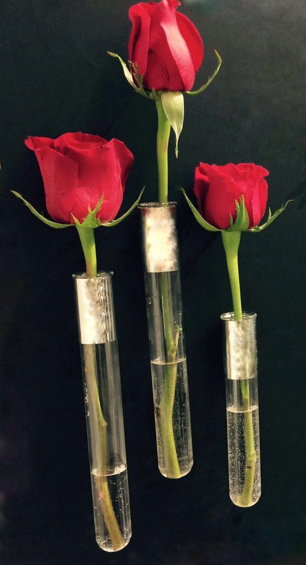 MLqkpwy Magnetische Bloemenvaas Voor Koelkast