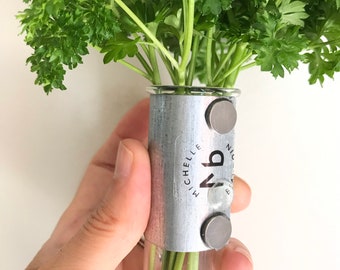 Bloempotjes voor de koelkast. Met magneet kun je overal ophangen waar ijzer aan zit