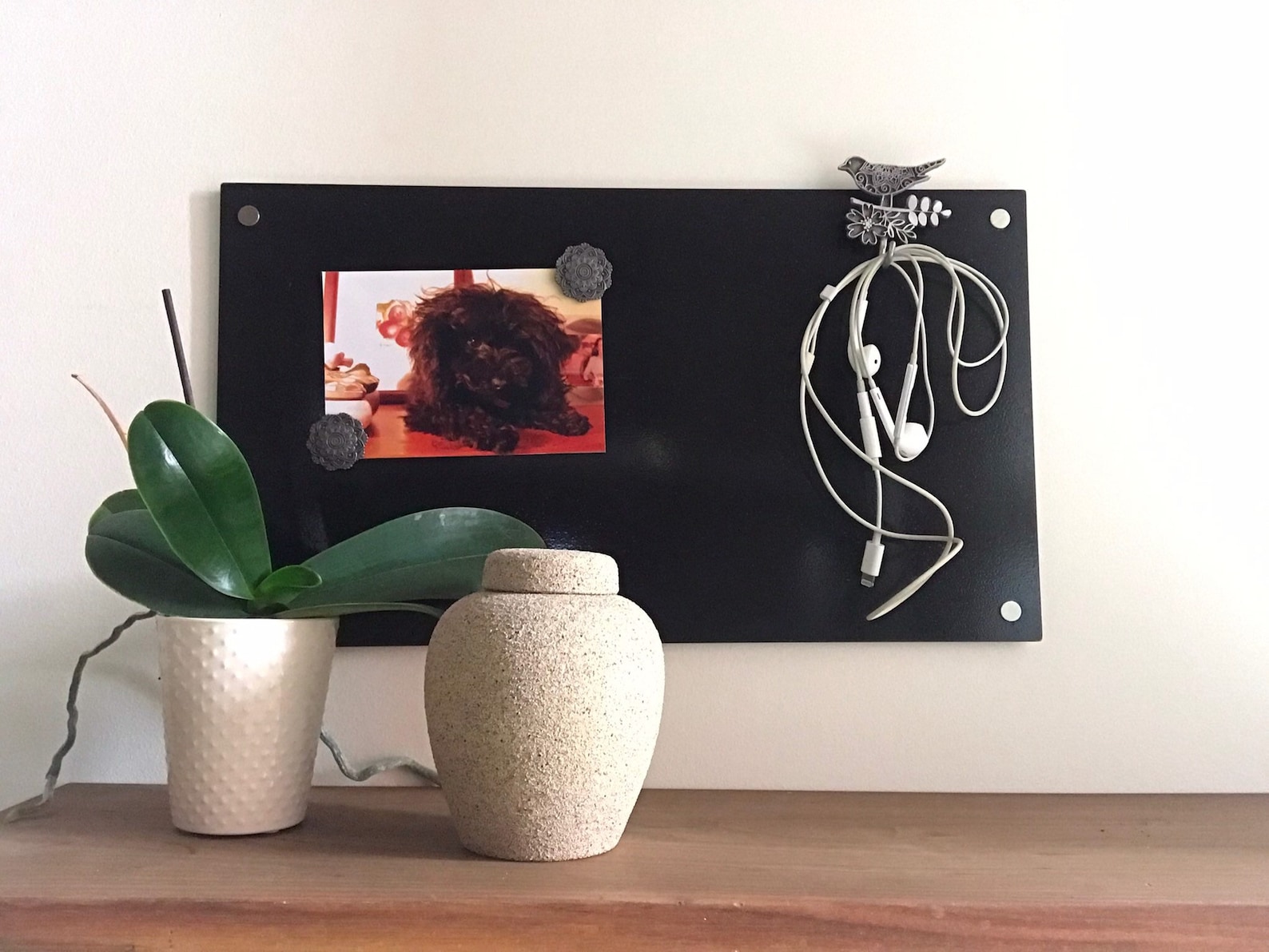 Bird Key Holder Key Hook Etsy Canada