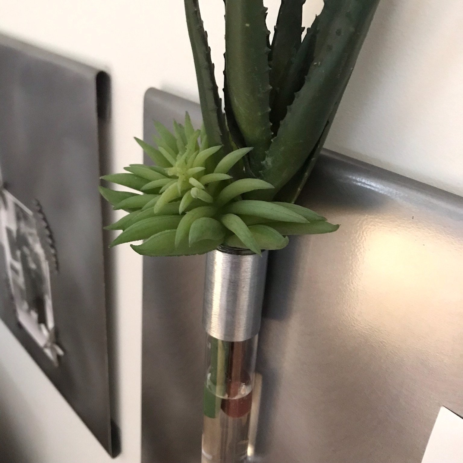 Kitchen Fridge Board Gift wMagnetic Metal Ring Glass Test Tube Mother's Day Magnetic Flower Plant Herb Spice Sand Holder Vase