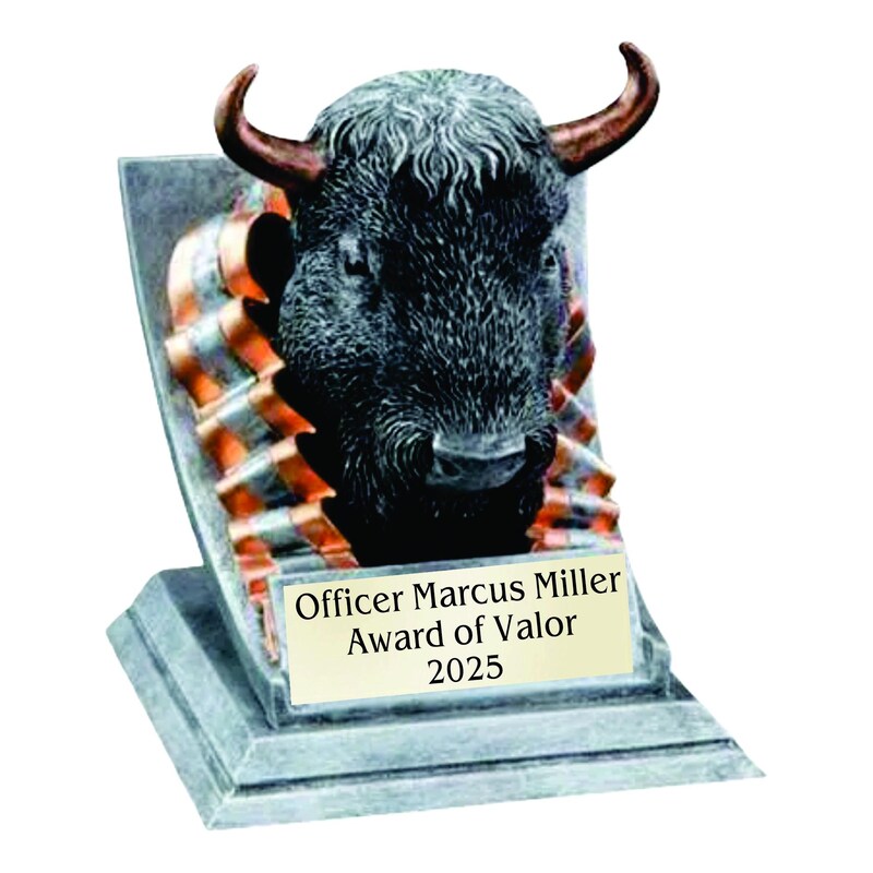 Unique Rodeo Prizes Rodeo Awards - Etsy