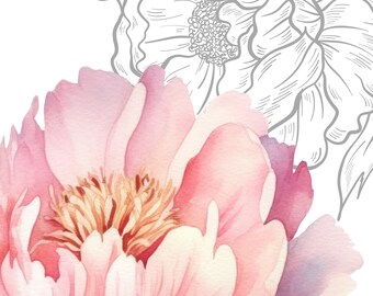 Watercolor Peonies in Pink and Grey