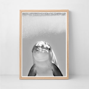 Dolphin Print, Nursery Kids Room Wall Art, Sea Ocean Fish Wall Art Print, Animal Nursery Poster, Sea Life Print, Black And White, Fish Print