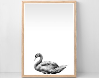 Duck Art Print, Home Decor Art Print, Black and White, Bedroom, Animal Print, Kitchen Art, Housewarming Retro Art, Nursery Print, Bathroom