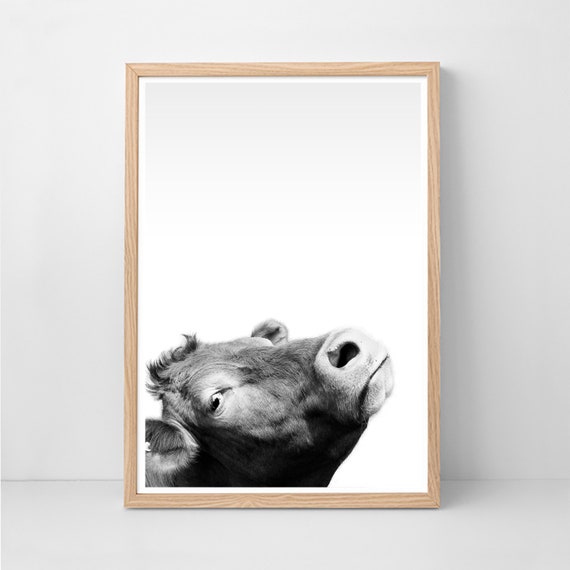 Funny Farm Animal Wall Art Funny Farm Animals And Pets Poster Pixers