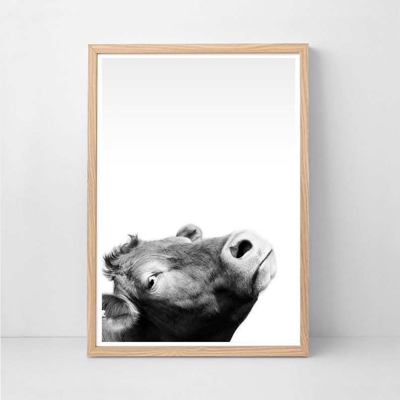 Cow Print, Farm Animal Wall Art, Funny Animal Poster, Black and White