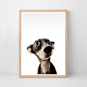 Dog Pet Digital Print, Digital Download, Printable Wall Art,Baby Shower Gift, Nursery Decor, Nursery Wall Art, Scandinavian Print, Baby Gift