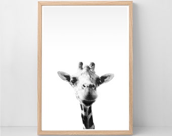 Giraffe Print, Safari Wall Art, Funny Animal Print, African Poster, Baby Nursery Room art, Black and White Wall Decor, Wild Life Photography