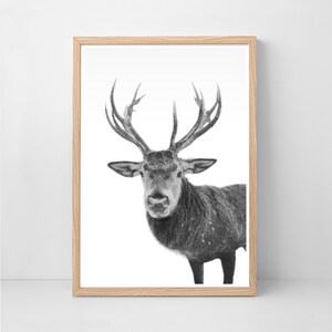 Deer Print, Woodland Nursery, Nursery Wall Art, Printable Art, Deer Head, Nursery Decor, Woodland Animal Print, Forest Animal Wall Art