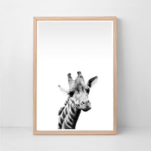 Giraffe Print, Safari Wall Art, Black and White, African Poster, Minimalist Art, Printable Wall Art, Animal Decor, Wild Life Photography