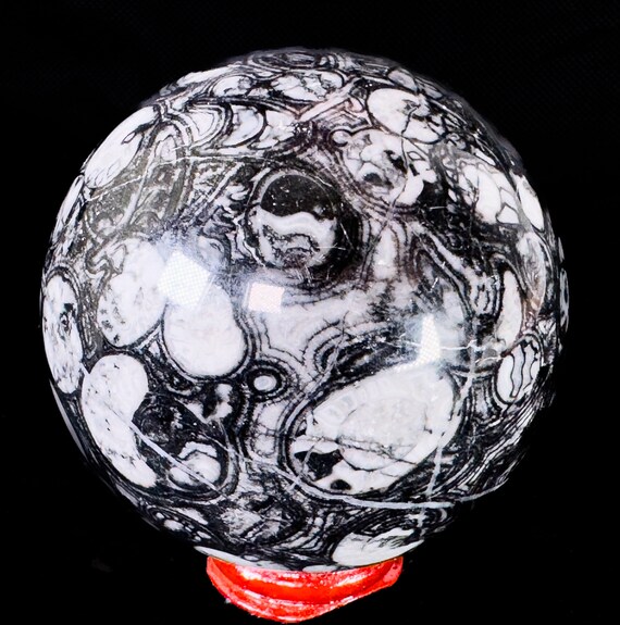 Crinoid Fossil Sphere 3.1" in diameter and weighs 1.30