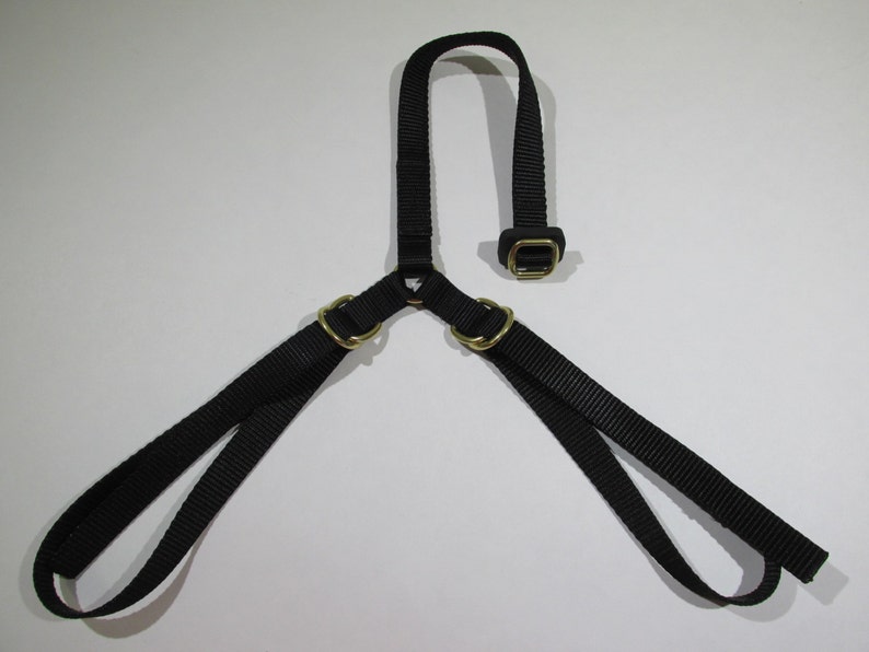 Rider Safety Strap for English Saddles Custom Made To Match Etsy