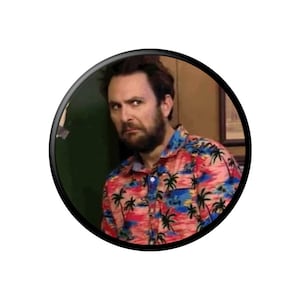 Charlie&#39;s Disgusted Pinback Button