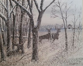 Wildlife Print, Deer, "Winter's Fury"  by Terrie Owens