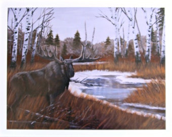 Moose, Wildlife Print, "October Chill" By Terrie Owens