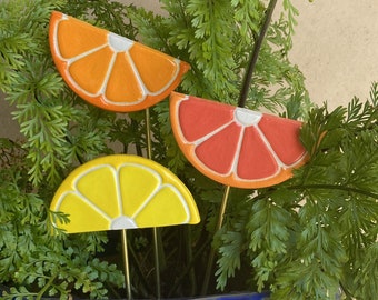 Citrus plant stakes, lemon slice plant stakes, garden stakes, house plant decorations, gardening stakes, indoor plant decorations