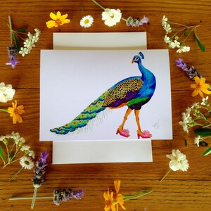 Peacock card, peacock in slippers, peacock in shoes, peacock cards, colorful birds,pink slippers, birds of paradise, Wildlife in footwear image 3
