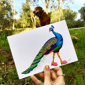 Peacock card, peacock in slippers, peacock in shoes, peacock cards, colorful birds,pink slippers, birds of paradise, Wildlife in footwear image 6