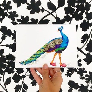 Peacock card, peacock in slippers, peacock in shoes, peacock cards, colorful birds,pink slippers, birds of paradise, Wildlife in footwear image 2