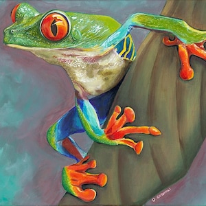 Red Eyed Tree Frog