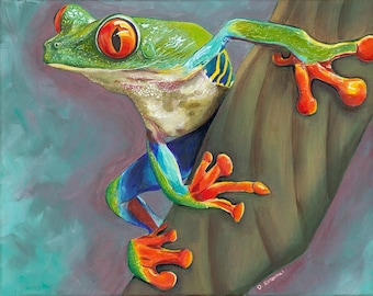 Red Eyed Tree Frog