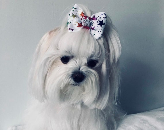 2” Rainbow Foil Star Mini Bow - Dog Bows - Dog Hair Bows - Bows for Dogs - Bows for Girls - Bling Bows - Small Bows - Star Bows