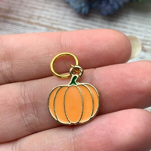May include: A gold-colored pumpkin charm with a green stem and orange body. The charm has a jump ring for attaching to a necklace, bracelet, or other jewelry.