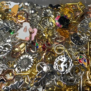 May include: A large collection of silver and gold charms, including a rabbit, a sunflower, a bee, a pineapple, a leaf, a hexagon, and a starfish. The charms are all different sizes and shapes and are perfect for adding to a bracelet or necklace.