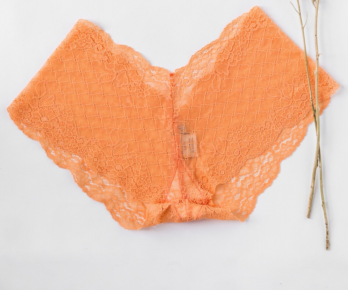 Apricot Lace Knickers Lingerie French Knickers Lace Etsy