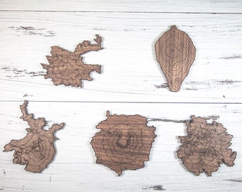 Walnut Mountain Coasters – Northwest Peaks Topographic Set of 5