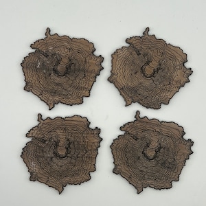 Mt. Saint Helens Coasters - Set of 1- Wooden Topography Coasters – Real Walnut - Made for Mountain People | - 1 coaster per order