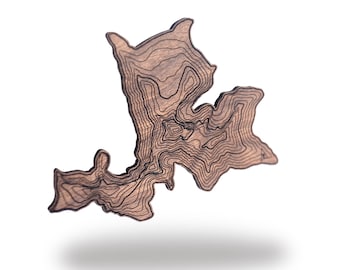 Colorado Mountain Wooden Coasters | Handmade Walnut Topographic Maps