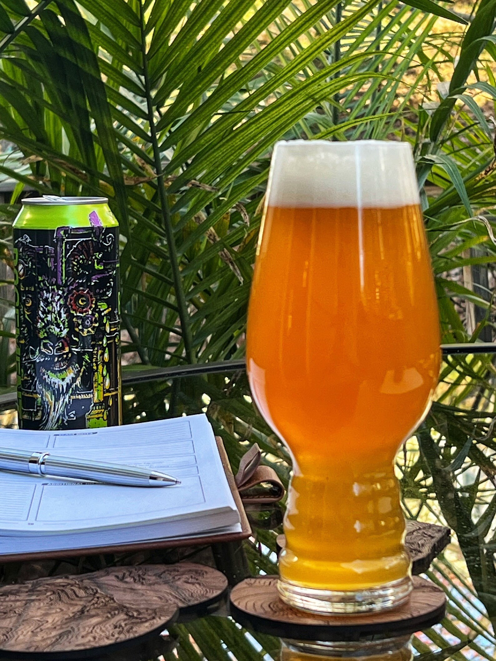 IPA Beer Glass Custom Glassware for IPA Beers Holds up to Etsy