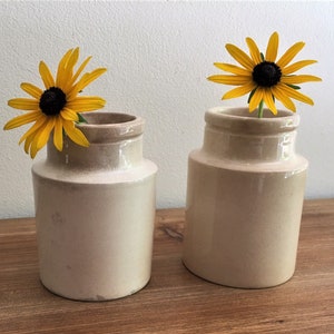2 French pharmacy bottles / ironstone pots / antique apothecary bottles / bottle collection / French home decor / stoneware jars