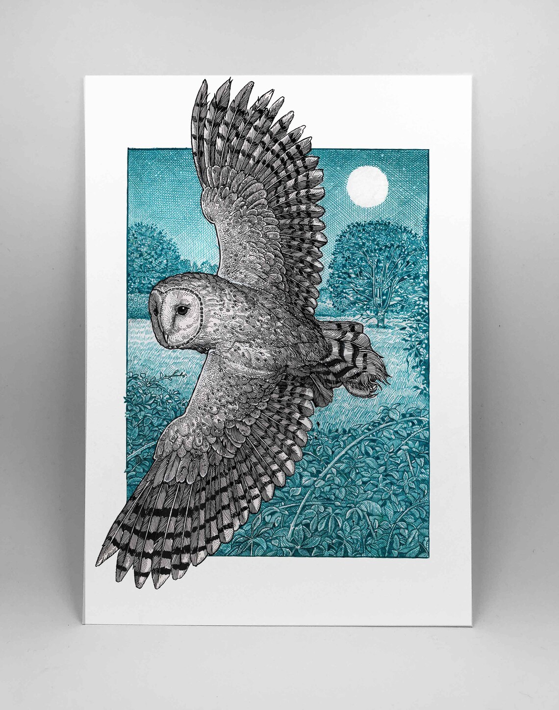 Barn Owl A3 Print | Etsy