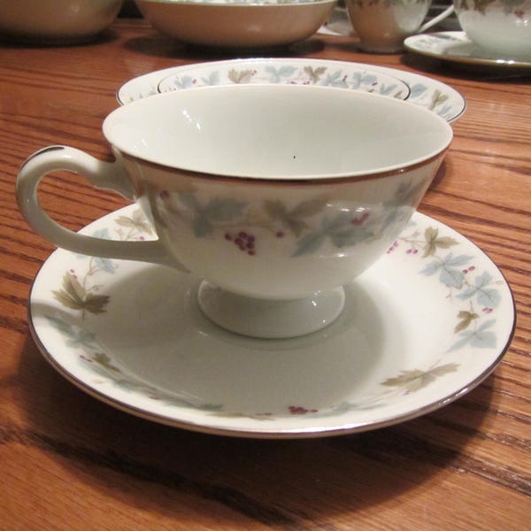 Japan VINTAGE Fine China Pattern 6701 Cup & Saucer * * Max Schonfeld Traubenrester *