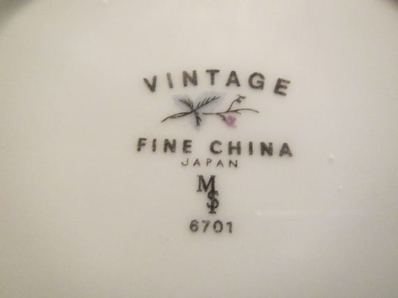 Japan VINTAGE Fine China Pattern 6701 Cup & Saucer** Max Schonfeld