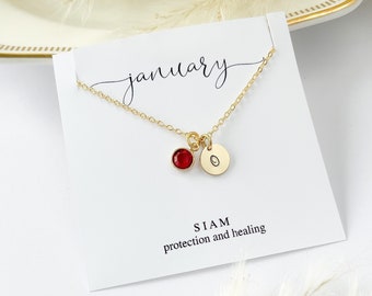 Initial and Birthstone Necklace, Personalized Best Gift for Mother, Gold Letter Necklace, Custom Name Jewelry, January Birthday Gift for Her