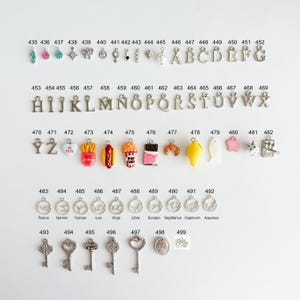 May include: A collection of metal and enamel charms arranged in rows, numbered 435 through 499. The set includes alphabet letters, food items like popcorn and fries, zodiac symbols, keys, and various shapes, each with a small loop for attachment.