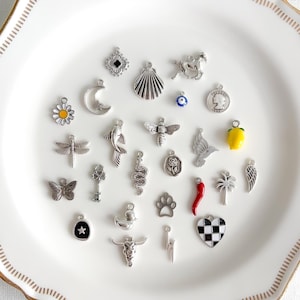 Progetta la tua storia con i nostri ciondoli in argento personalizzati, pendenti all'ingrosso per collane, bracciali, diari e gioielli fai da te