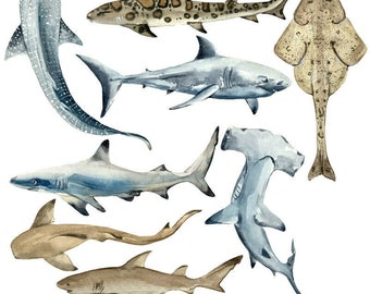 Shark whales sea wall stickers - 3 sizes available