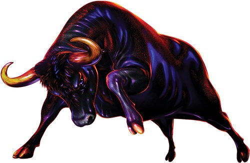 Angry Bull Charging