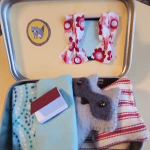 Amigos de bolsillo en una lata: llévame en tu bolsillo o mochila. ¡Siempre tendrás un amigo!