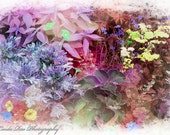 Flower Garden Pastel Pink Blue Purple Green Yellow Fine Art Photography Home Office Bedroom Decor