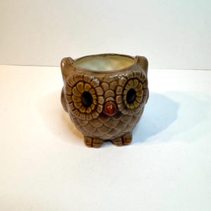 May include: A brown ceramic owl-shaped planter or container featuring a textured feather pattern, large circular eyes with dark pupils, and a small orange beak. The interior of the hollow vessel is cream-colored, and the base has two small feet.