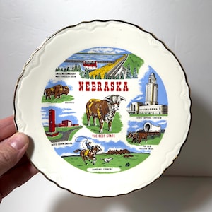 assiette de collection colorée vintage Nebraska. plaque de voyage. plaque commémorative